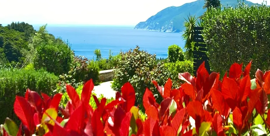 Villa Mirothea, photo 41 of 66