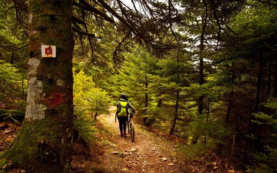 Mountain bikes